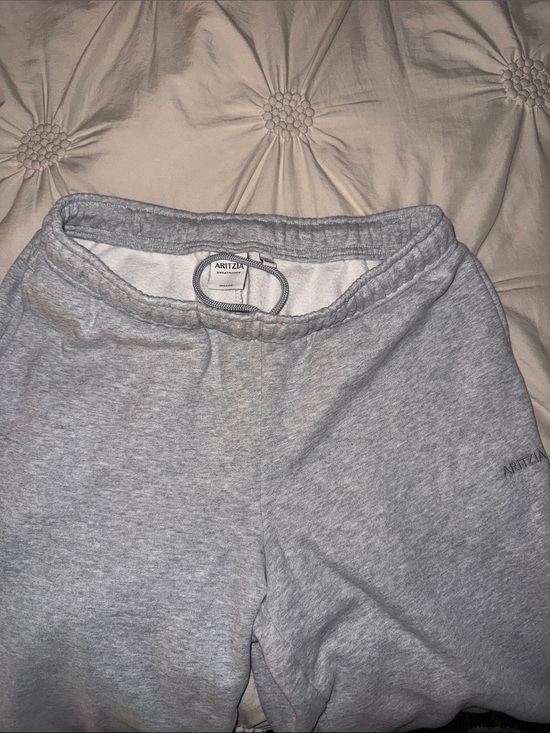 Aritzia Pants - Aritzia grey mega fit sweatpants